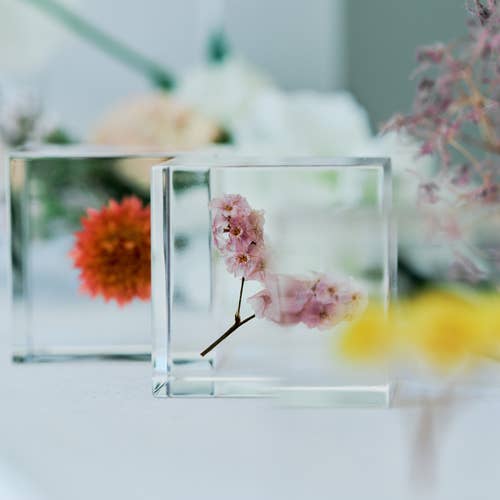 Sola cube - Wholesale Decorative Tabletop Object - Globe amaranth10