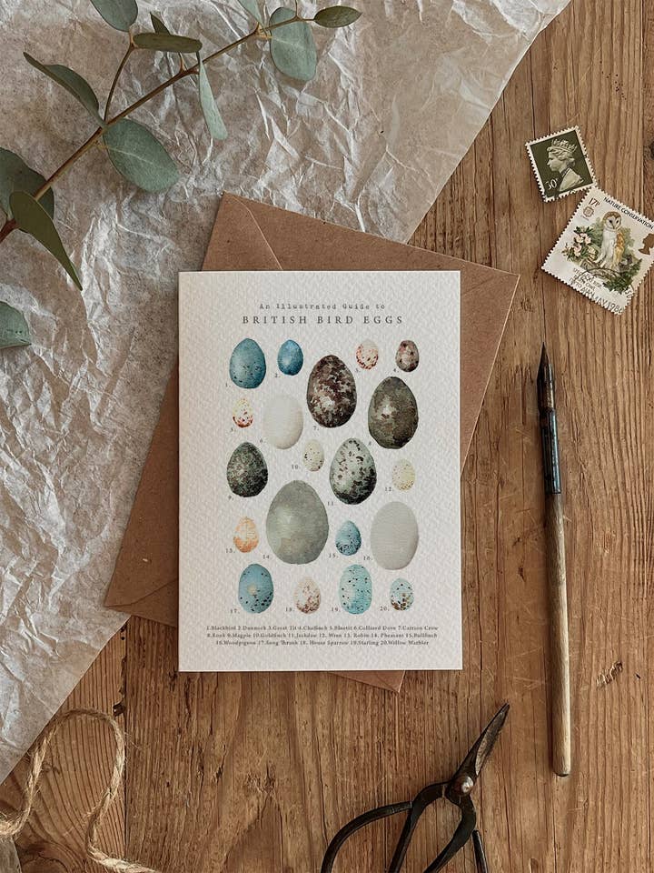 British Bird Eggs Card for wholesale by Brooke Marie
