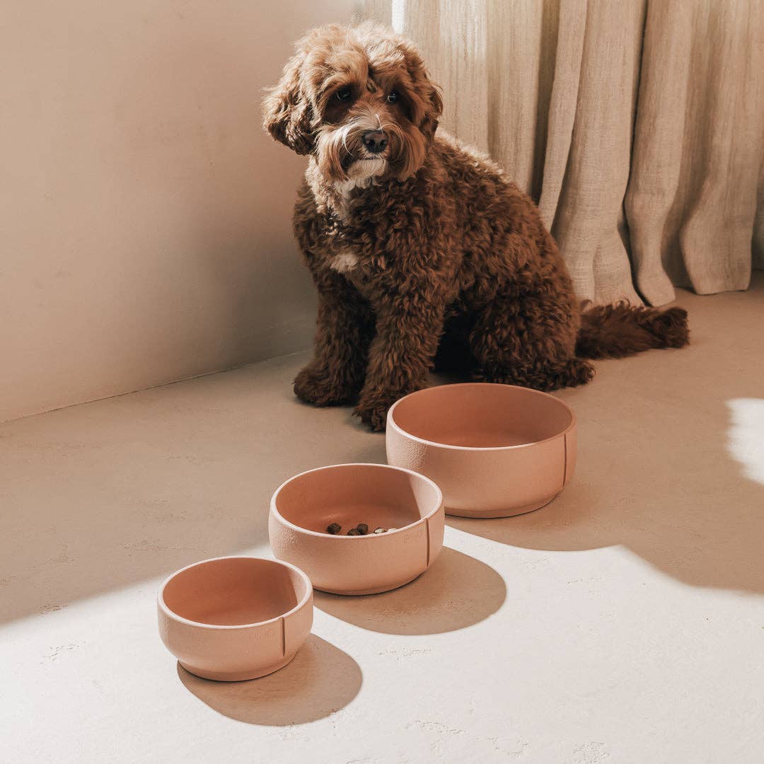 PINO – Engroshandel Kæledyrsskål – Hund – Klassisk skål38