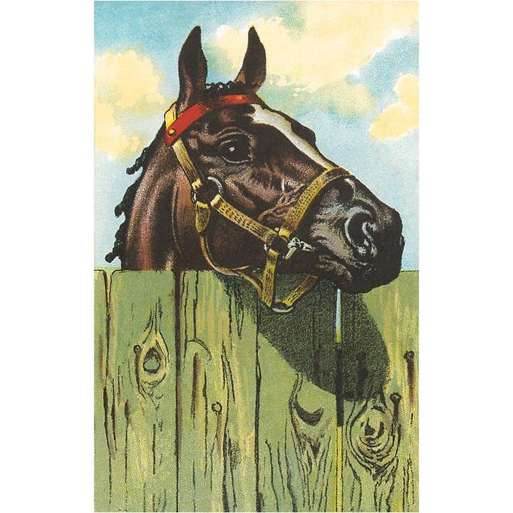 Kunstdruck EQ-453 Pferdekopf über Zaun für den Großhandel von Found Image Press