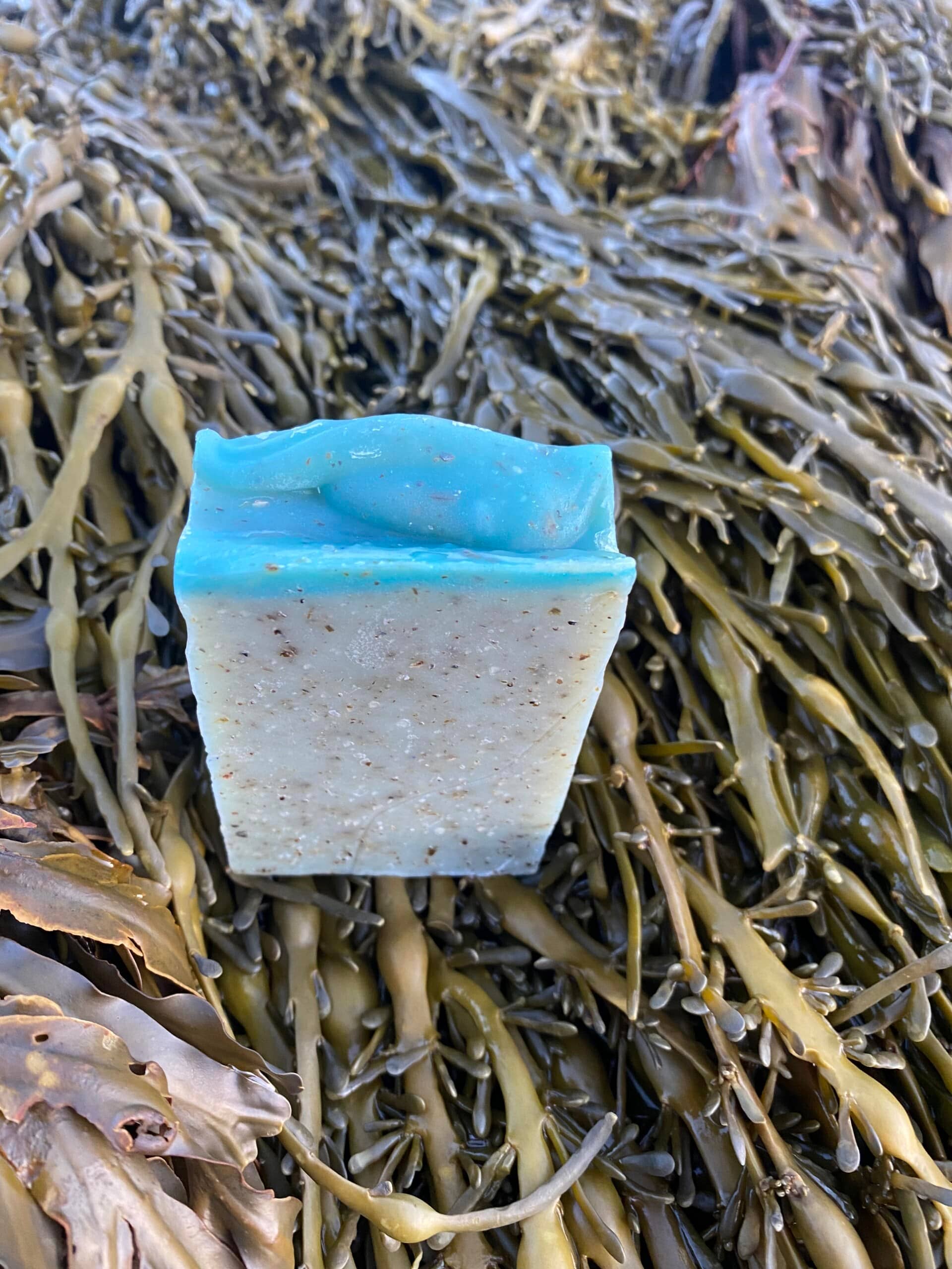 Lofoten Seaweed - Wholesale Bar Soap - Seaweed Soap3