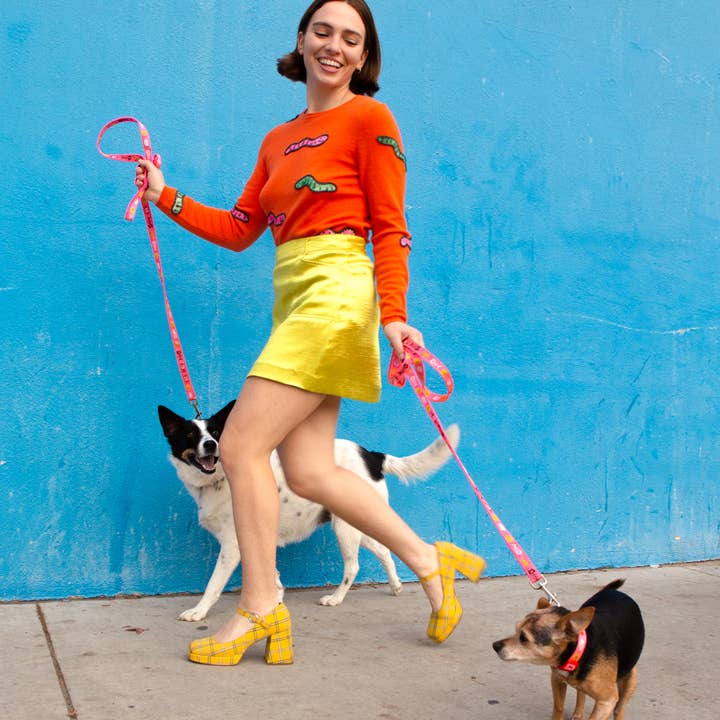 gentle thrills - Wholesale Pet Collar - Dog - trash day dog collar4