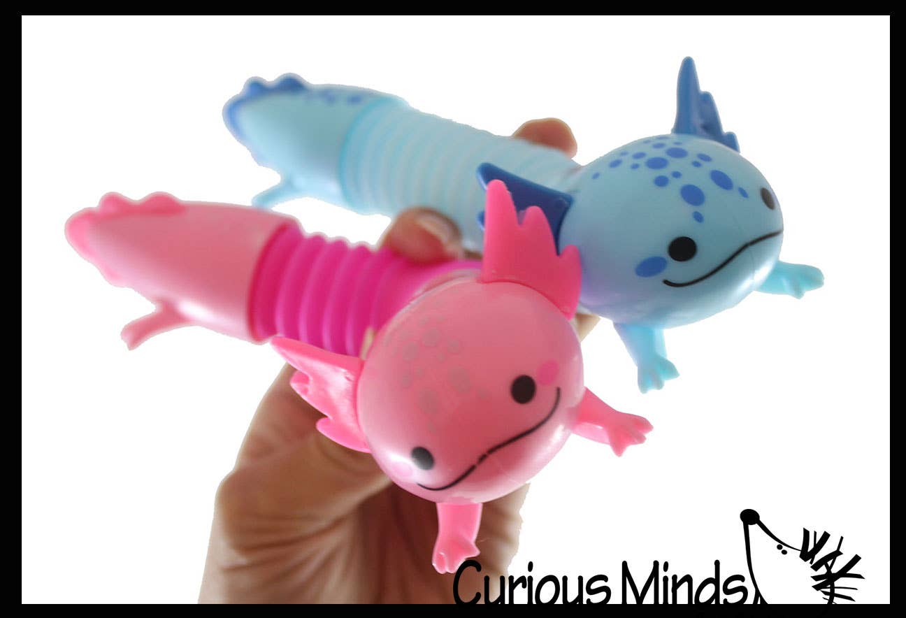 Curious Minds Toys – Brinquedo Fidget - Crianças por atacado – 1 Giro Axolotl Pull e Pop Snap Animal Expandindo Fidget4