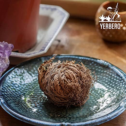YERBERO - Wholesale Dried/Pressed Flowers - Yerbero - 10 Pack Big Rose Jericho Dried Flower 2.5''-3.5'' | Selaginella Lepidophylla | Resurrection Plant | Jumbo Size Dried Rose | Abundance,3