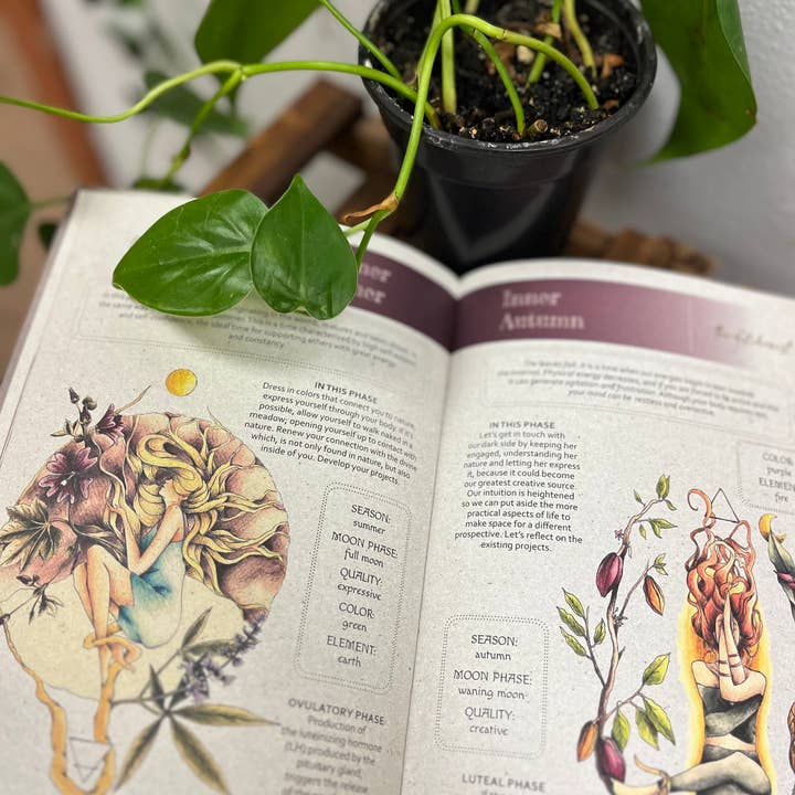 moon seeds – Engroshandel Dagbog – Moon Seeds 2025 - Årsplanlægger til selvindsigt og menstruationscyklus4