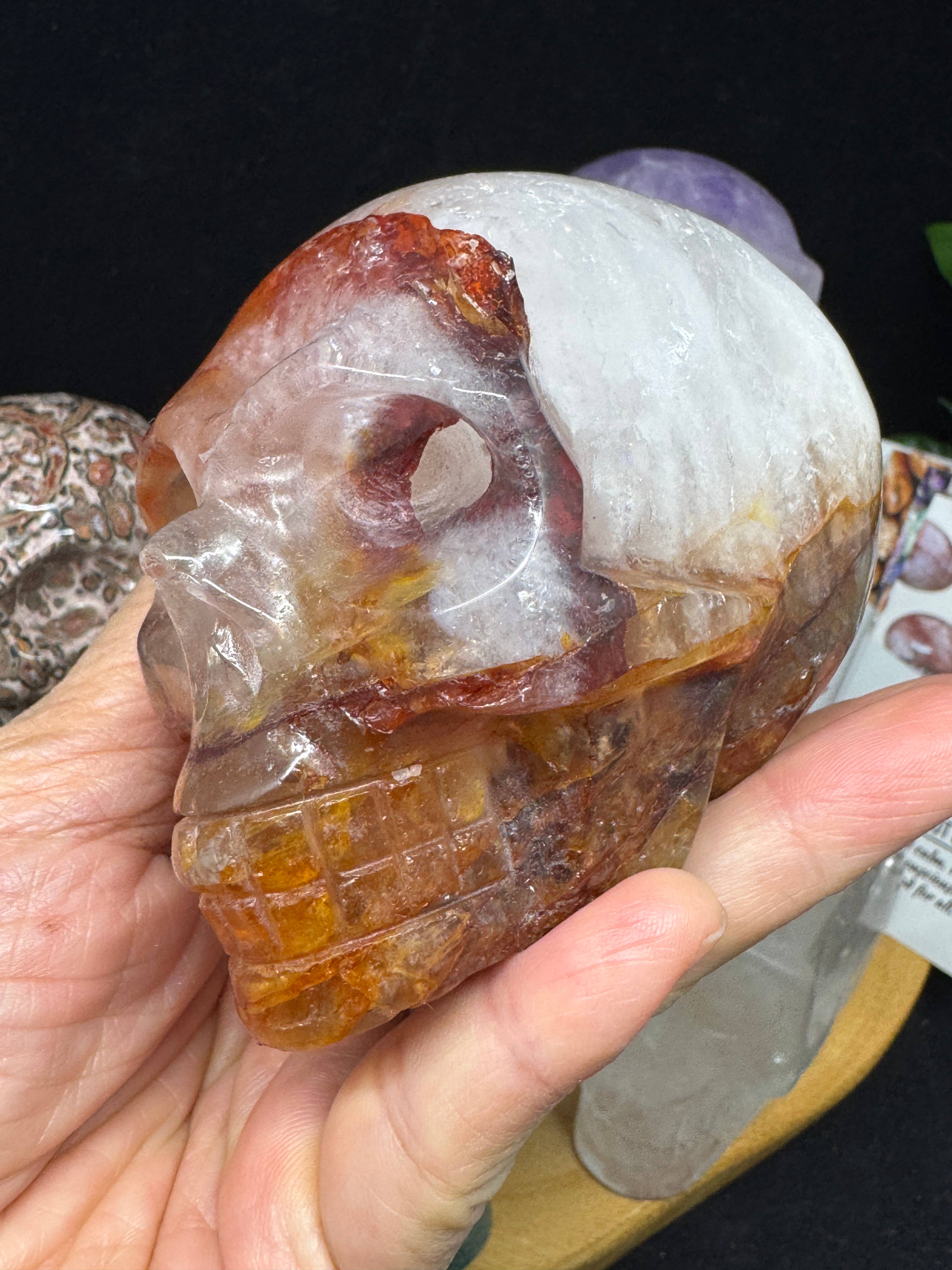 The 7 Directions - Wholesale Spiritual Stone/Crystal - 6 pc Ocean Jasper Leopardite fire quartz skull bundle G80515