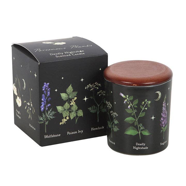 Something Different Wholesale - Wholesale Jar/Filled Candle - Poisonous Plants Deadly Nightshade Scented Candle1