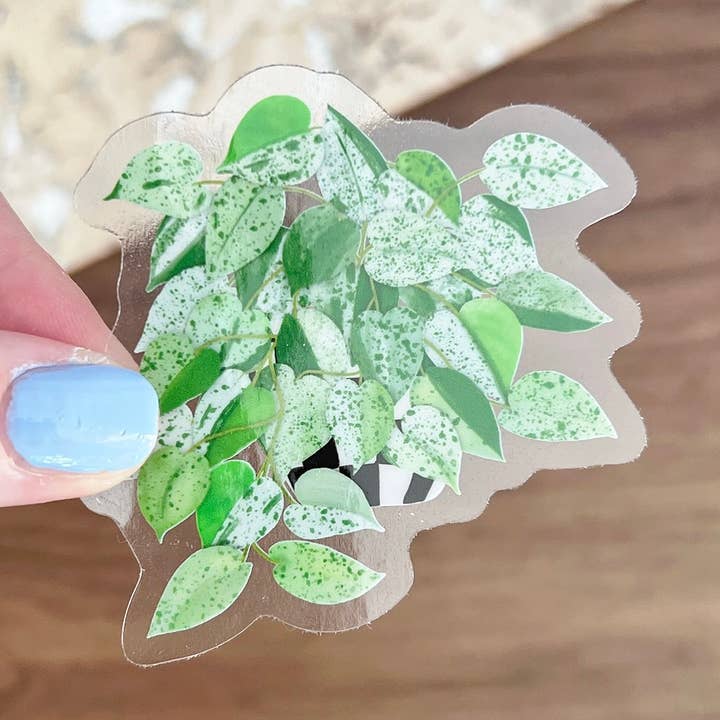 Marble Queen Pothos clear vinyl sticker for wholesale by Lemon Press Studio
