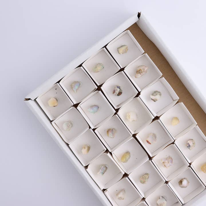 Ensemble de 24 opales d'Éthiopie pour la vente par Mi Esperanza Minerals