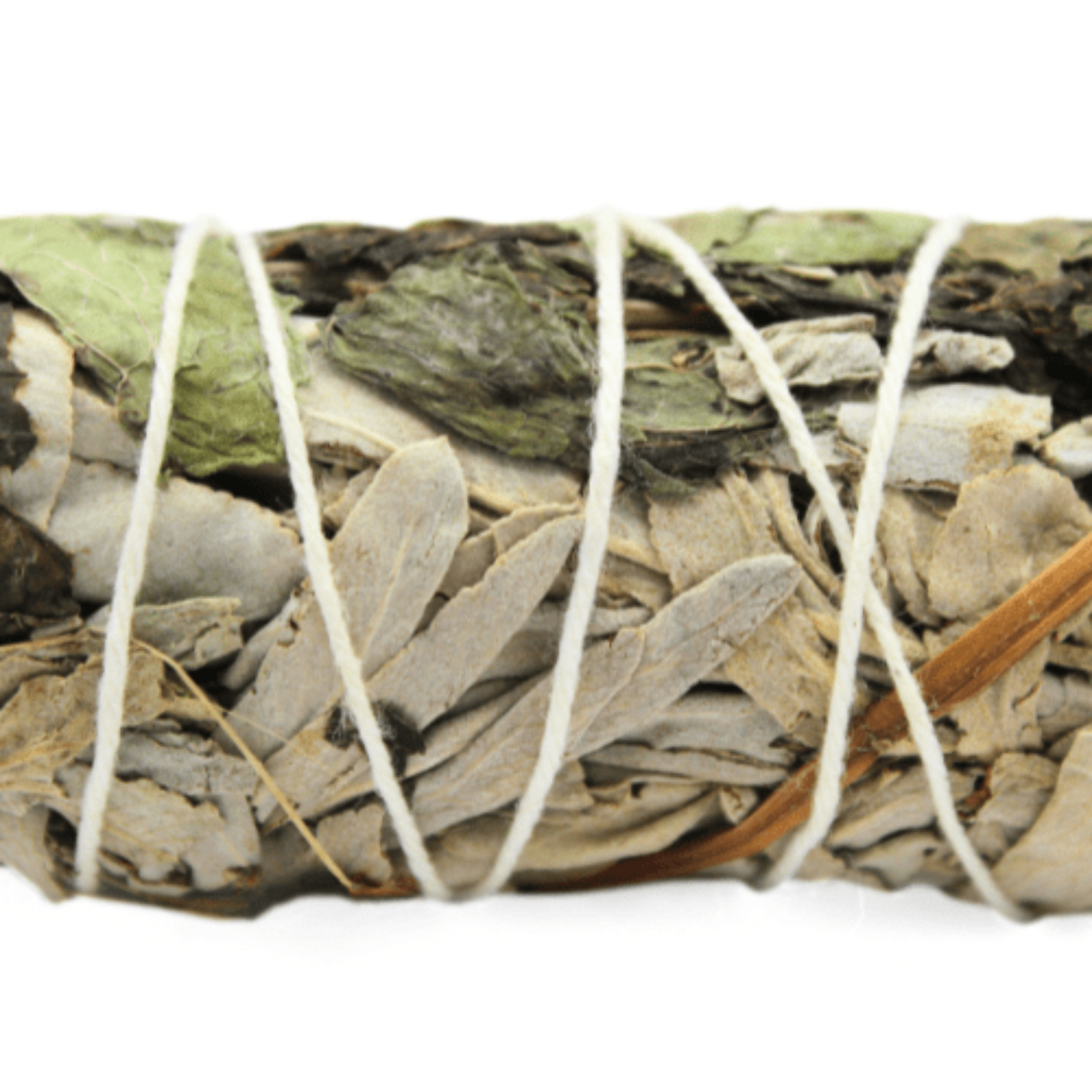 Green Tree - Wholesale Smudge Stick - White Sage & Peppermint Smudge Stick 10cm1