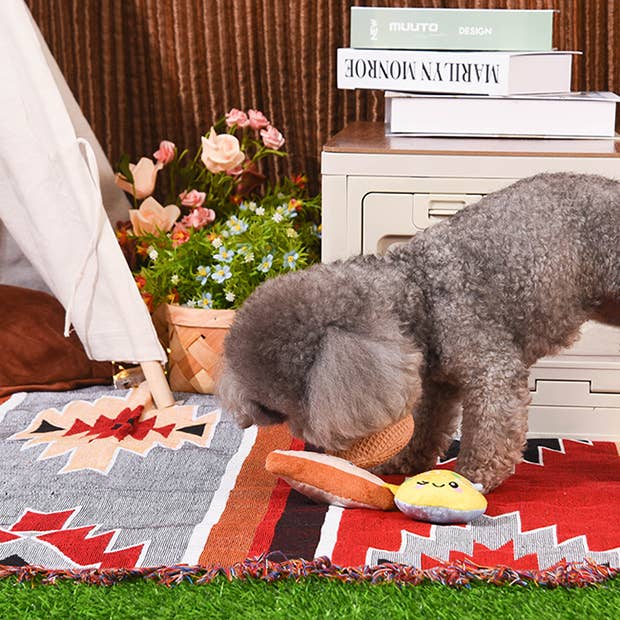 Hugsmart Products Inc – wholesale Pet plush toy – Dog – HugSmart Pet - Picnic Time | Yappy Yum - Dog Plush Toy