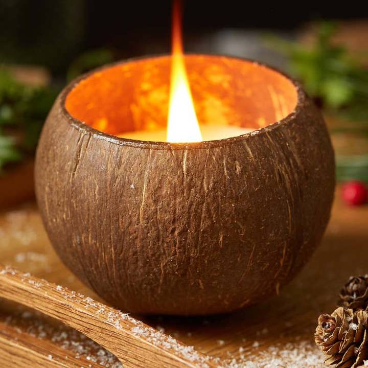 Vela de cáscara de coco con bolsa de regalo (varios aromas disponibles) para venta al por mayor de Jungle Culture