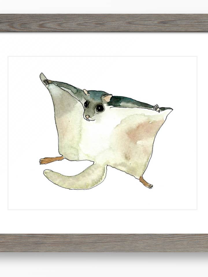 Flyvende egern Print for engroshandel hos Brienne Cosman Design