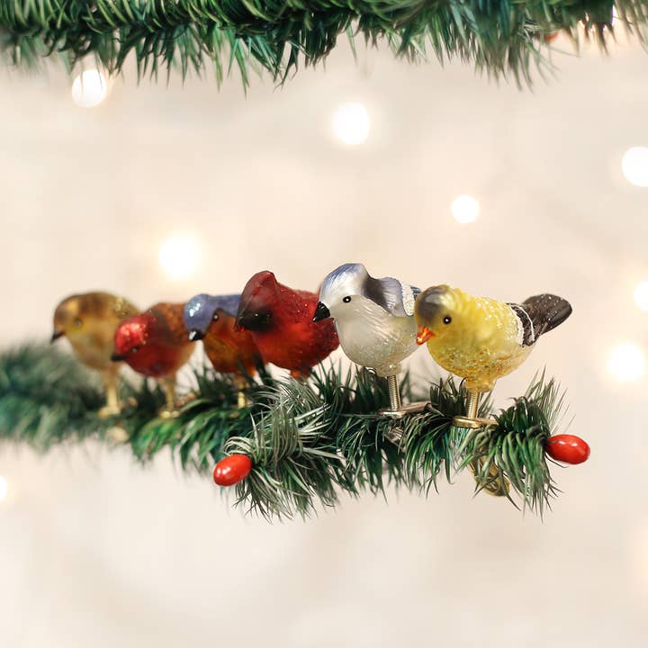 Old World Christmas - Wholesale Ornament Set - Assorted Mini Songbirds Ornament0