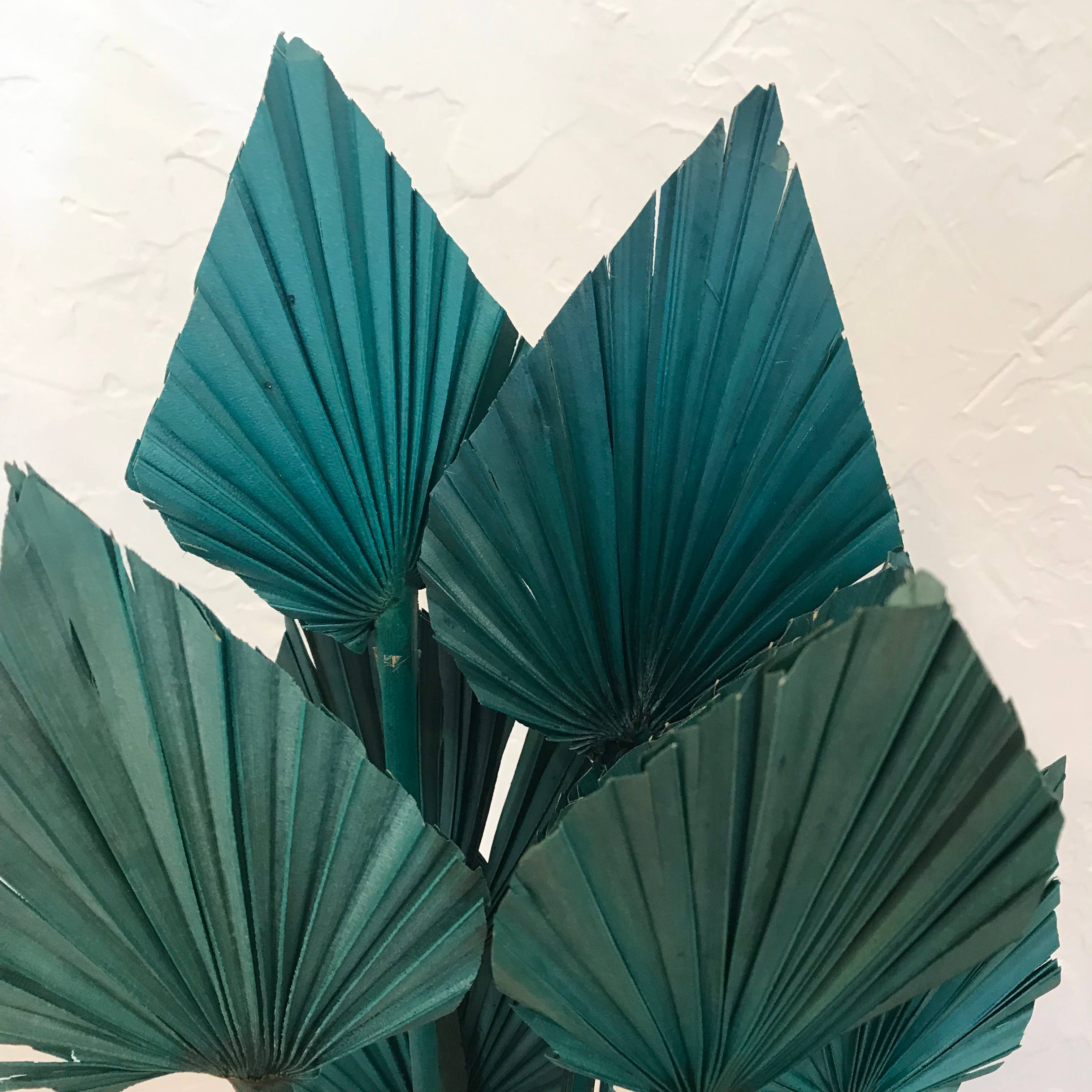 Wilco Home - Wholesale Dried/Pressed Flowers - 10 PC Dried Palm Spear Drop-in Bouquet3