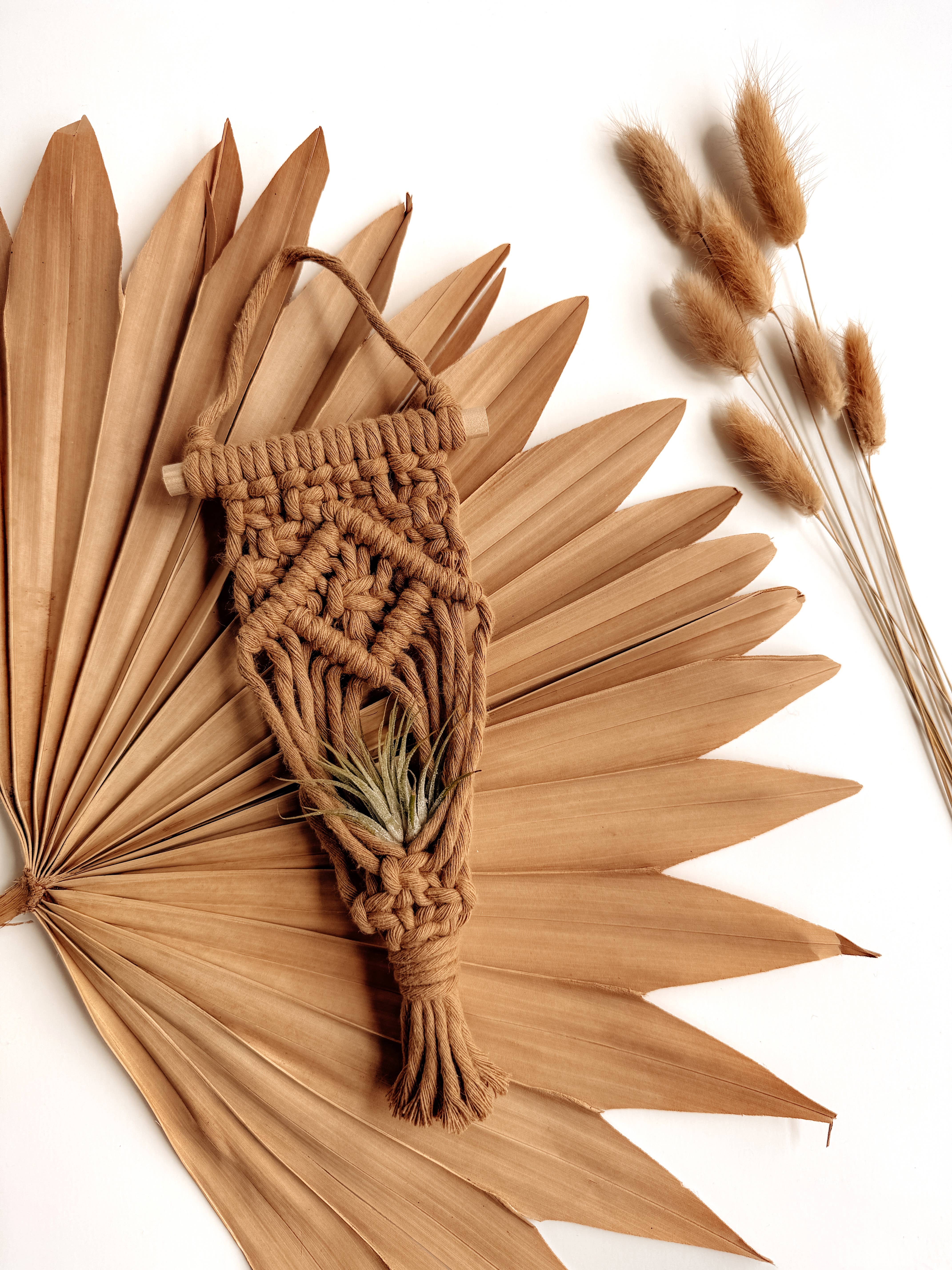 Meraki The Studio Co. - Wholesale Hanging Planter - Air Plant Hanger | Macrame Planter Holder | Boho Home Decor3