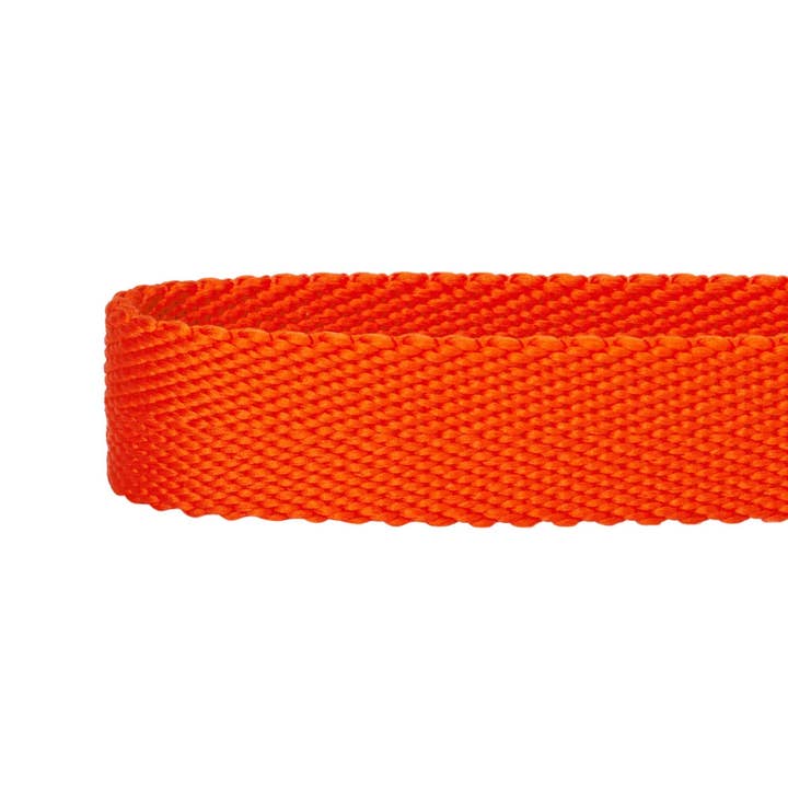 Blueberry Pet - Wholesale Pet collar – Dog - Best-Seller Double D-Ring Dog Collar -Must-Have for All Dogs32