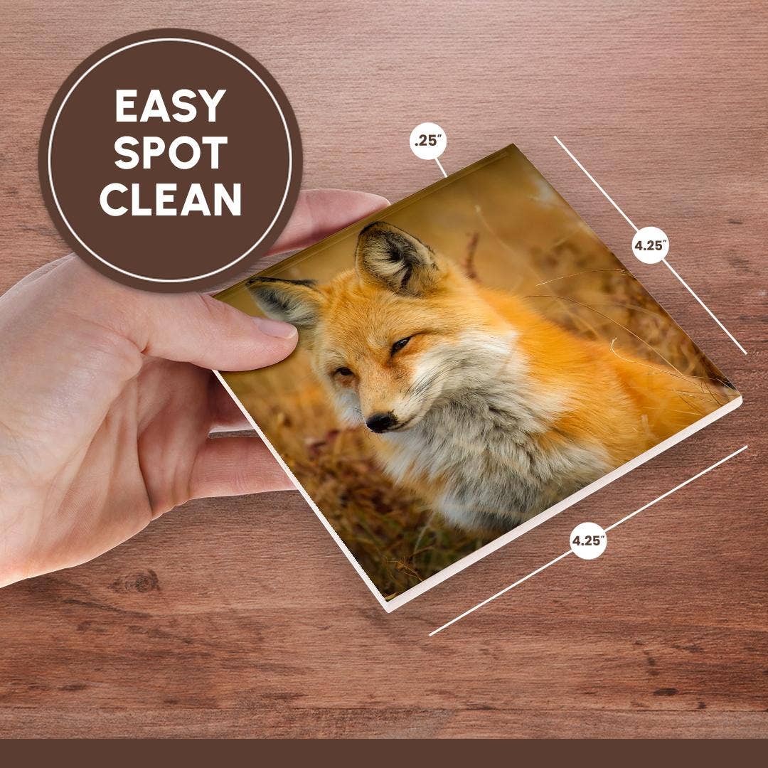 3dRose - Wholesale Coasters - 3dRose, Red Fox, Coaster6