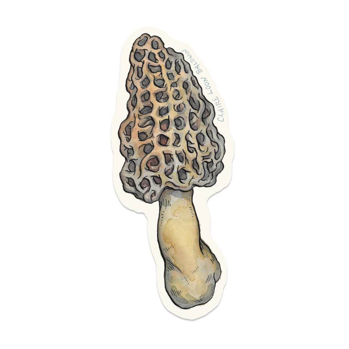 Claire Loon Baldwin Illustration - Wholesale Sticker - Morel Mushroom Sticker0