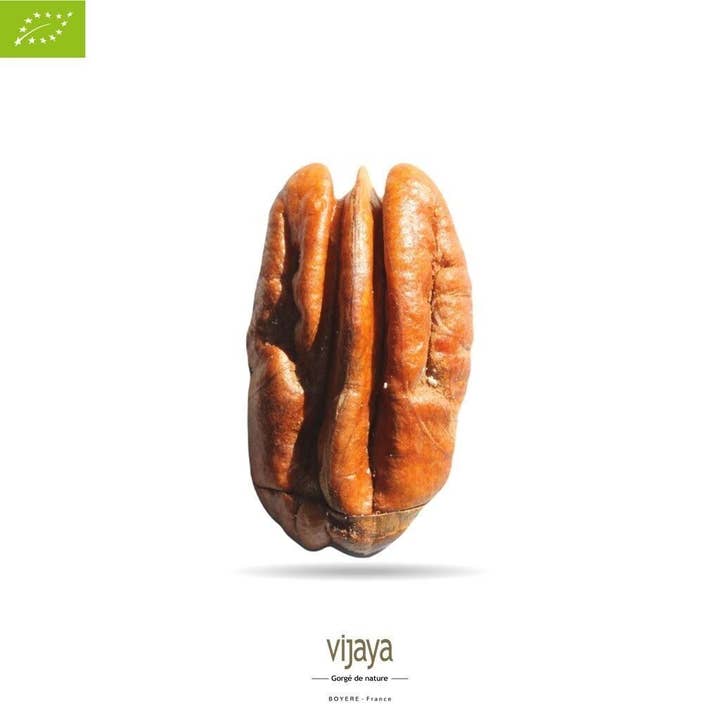 Pecans - Halves - SOUTH AFRICA - 5 Kg - Organic* for wholesale by VIJAYA - SAS J.L. BOYERE