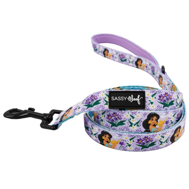 SASSY WOOF - Wholesale Pet Harness - Dog - Harness Three Piece Bundle - Disney's Jasmine