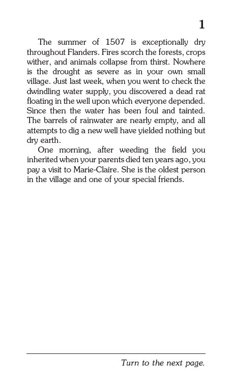 Choose Your Own Adventure - Wholesale Middle Grade Book (9-12) - The Magic Of The Unicorn, Children's Book2