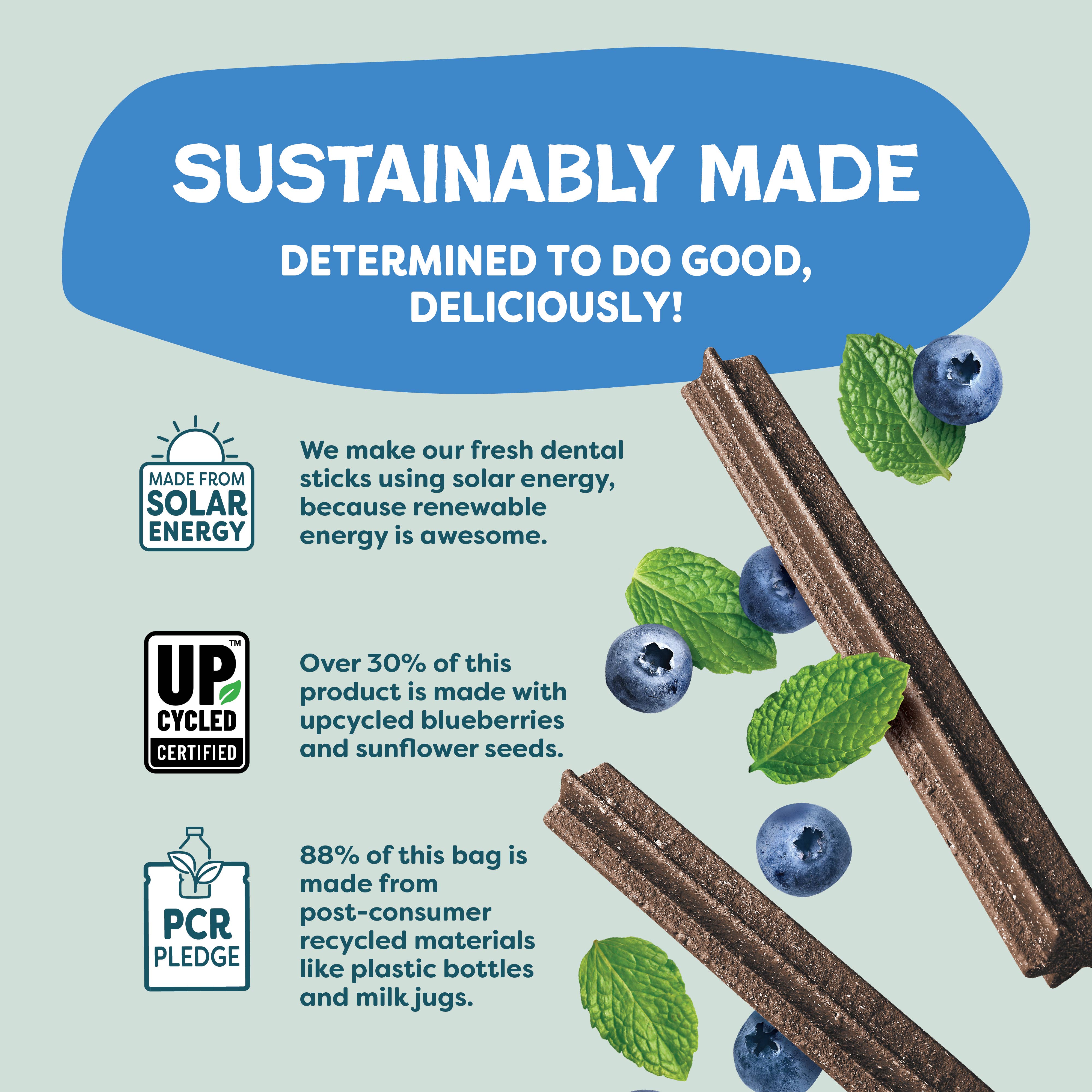 Shameless Pets - Vente Friandises – chien - Gâteries pour chiens The Tooth Berry Dental Sticks6