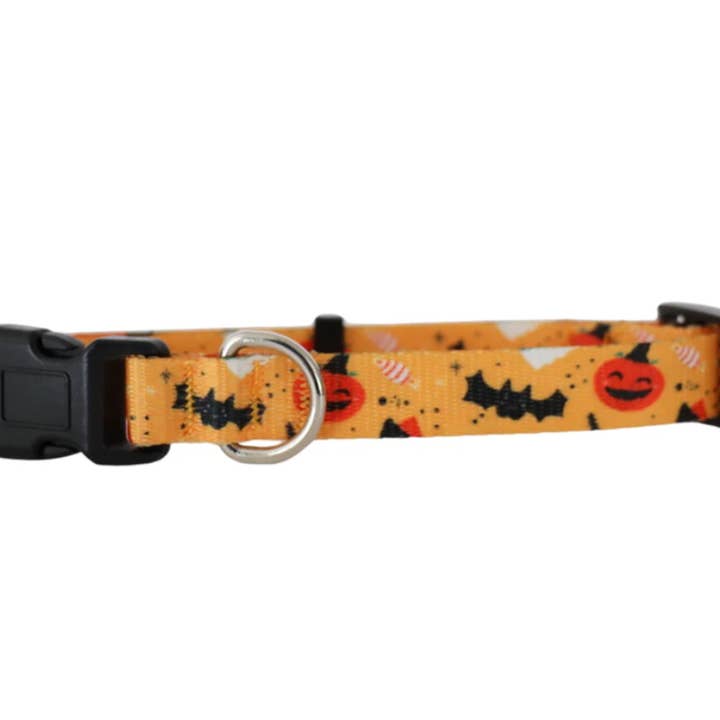 SPOOKY CUTE - EXTRA SMALL DOG COLLAR for wholesale by DAPPER DEXTER