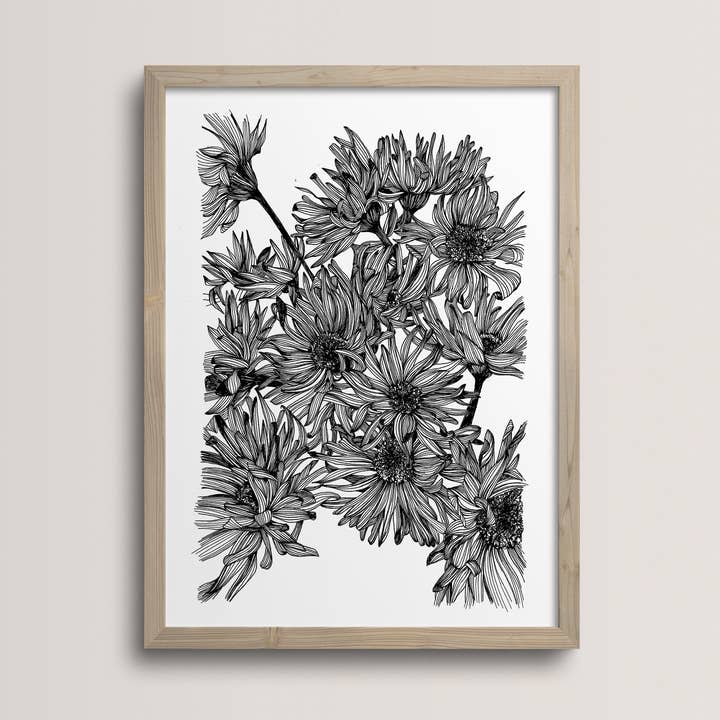 monocotylédone - Wholesale Poster - Asteraceae, poster A40