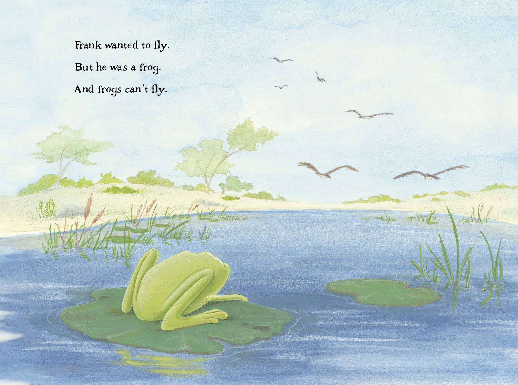 REMOVED BRAND - Wholesale Preschool Book (3-5) - A Frog Thing1