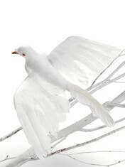 DOVE WINGS UP - 10" for wholesale by Studio Specialties