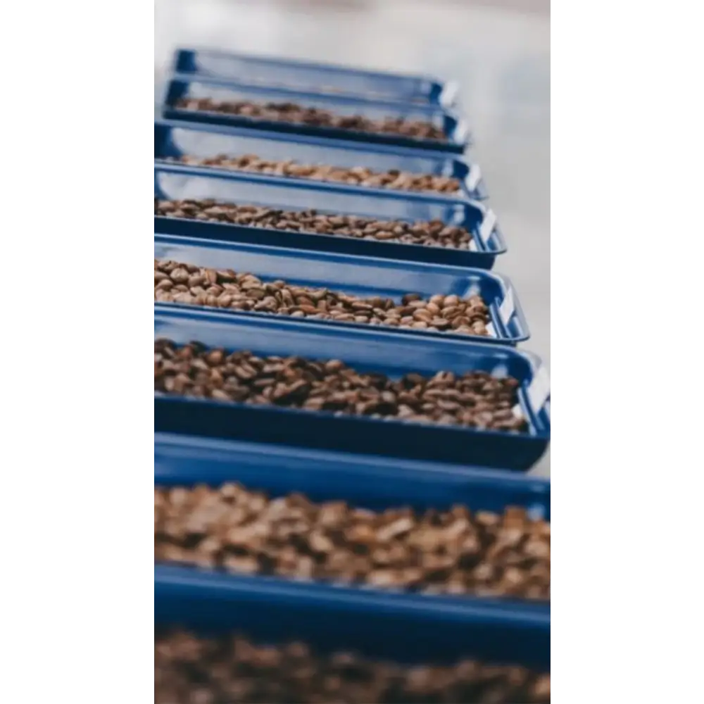 Brazuca Coffee – wholesale Coffee beans – Swiss Water Decaf Coffee3