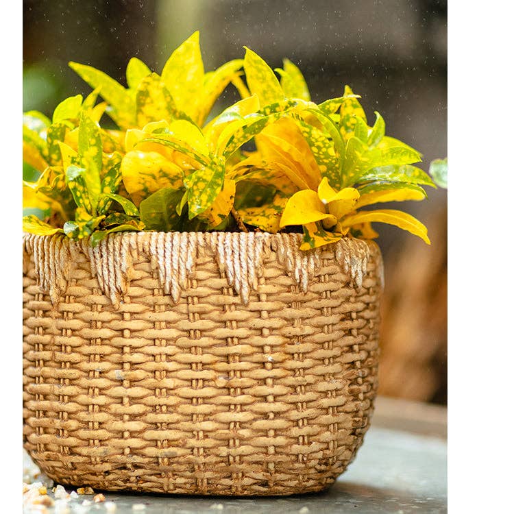 Rustic Reach - Vente Pot - Jardinière en ciment Lady Straw Basket6