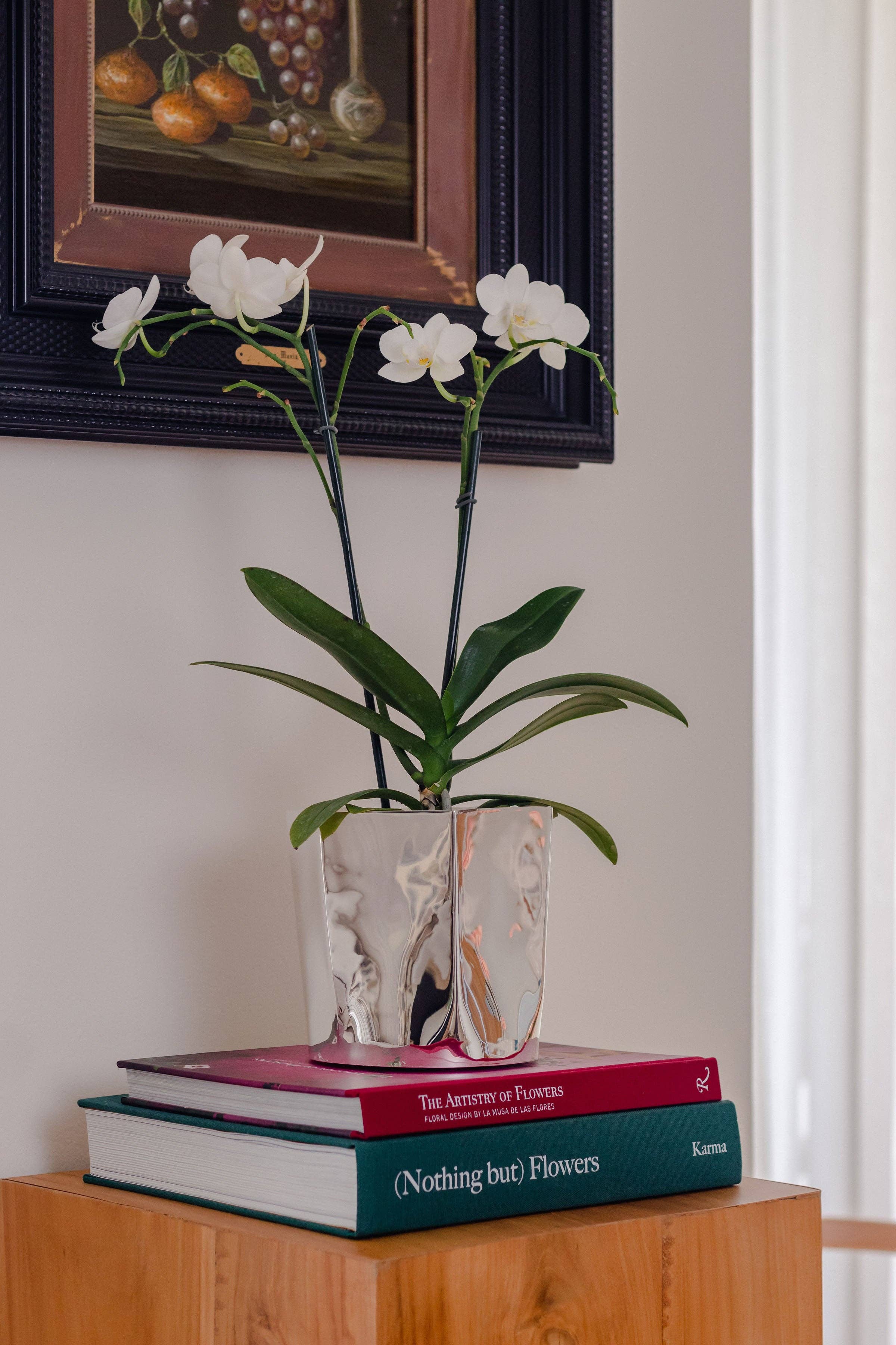 ESENCIAL HOGAR - Wholesale Ice Bucket - Hexagon Silver-Plated Ice Bucket1