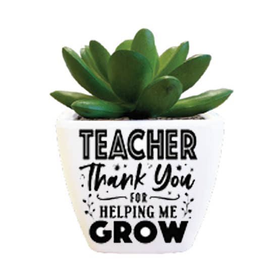Sentiment Succulent - Teacher for wholesale by The H&H Group