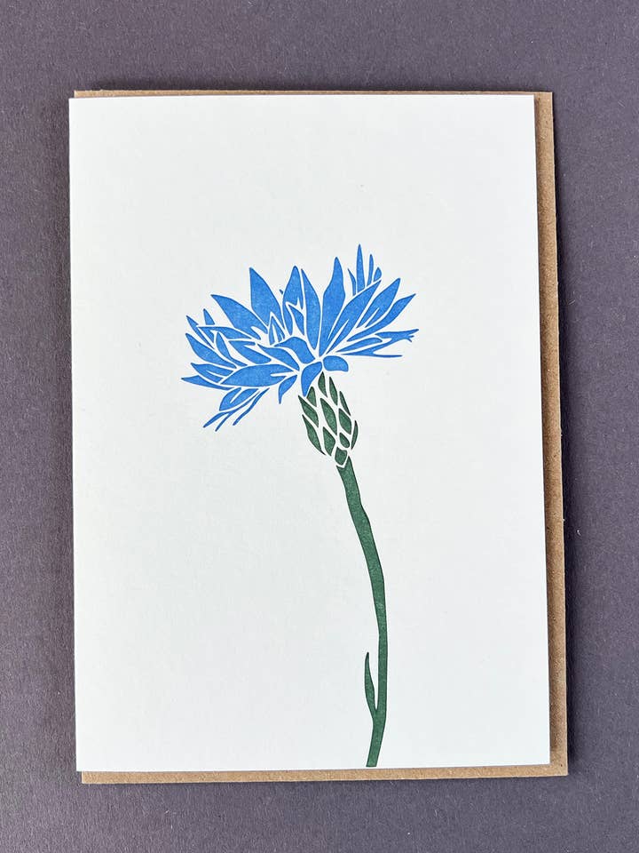 Cornflower Letterpress Card | Flower Card | Birthday Card for wholesale by Penguin Ink