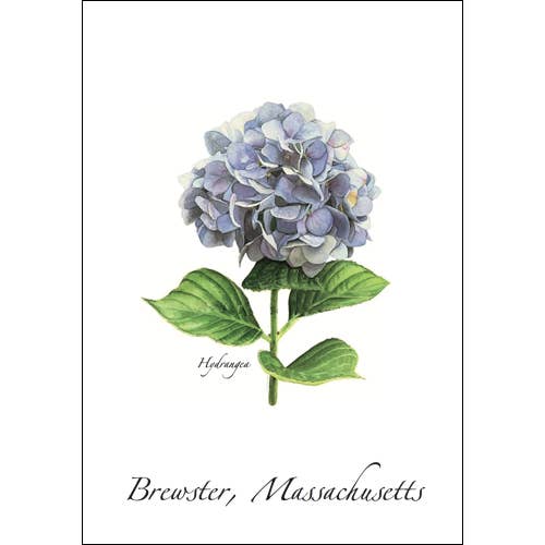 Hydrangea Everyday Greeting Card, Recycled Material for wholesale by Earth Sky + Water