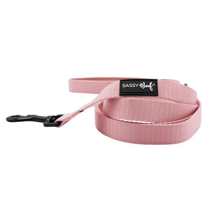 Dog Leash - Dusty Rose for wholesale by SASSY WOOF