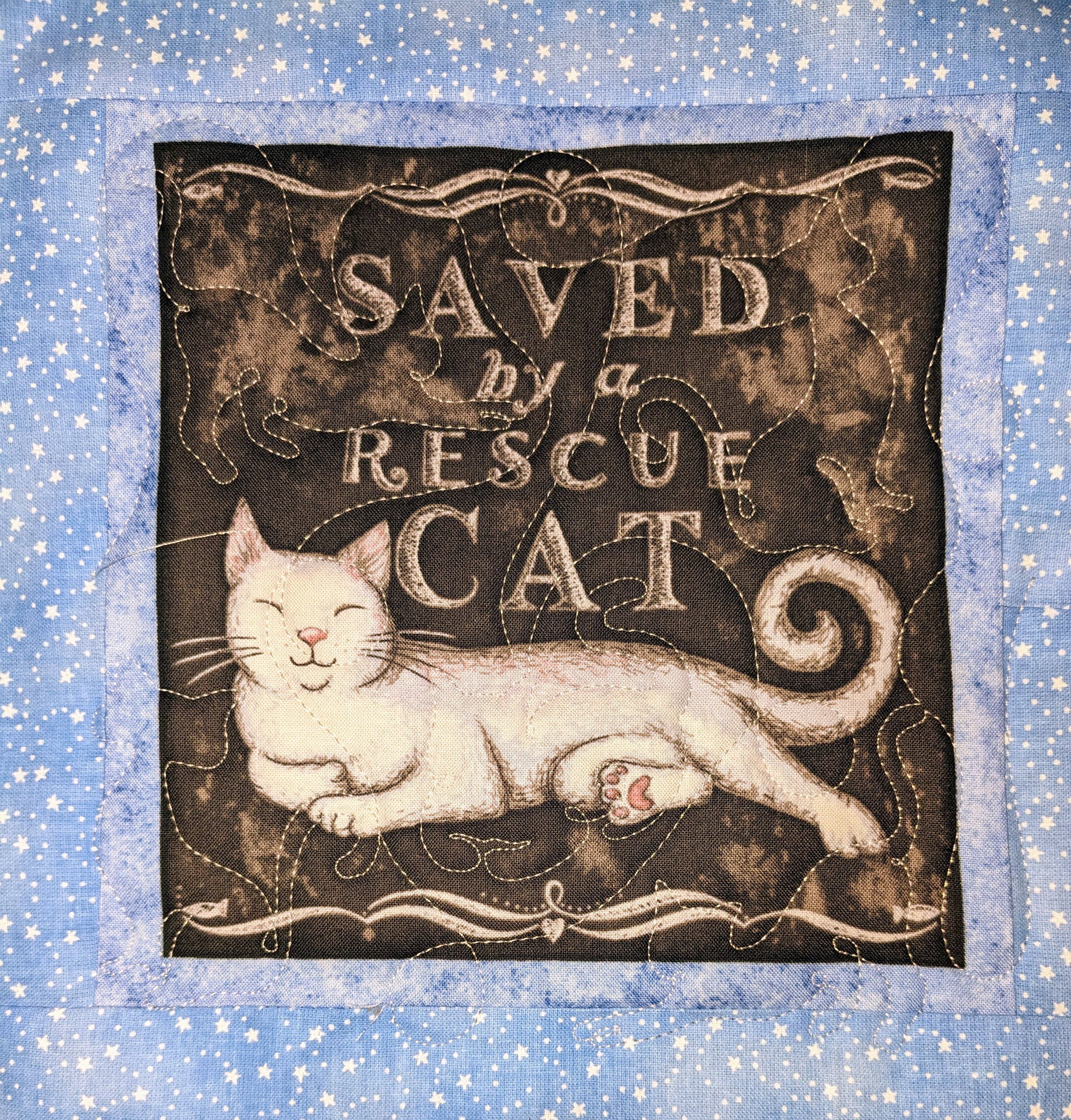 Red Mitten - Vendita all'ingrosso Guanti da forno/Presine - Pentole Rescue Cat Hot Pads5