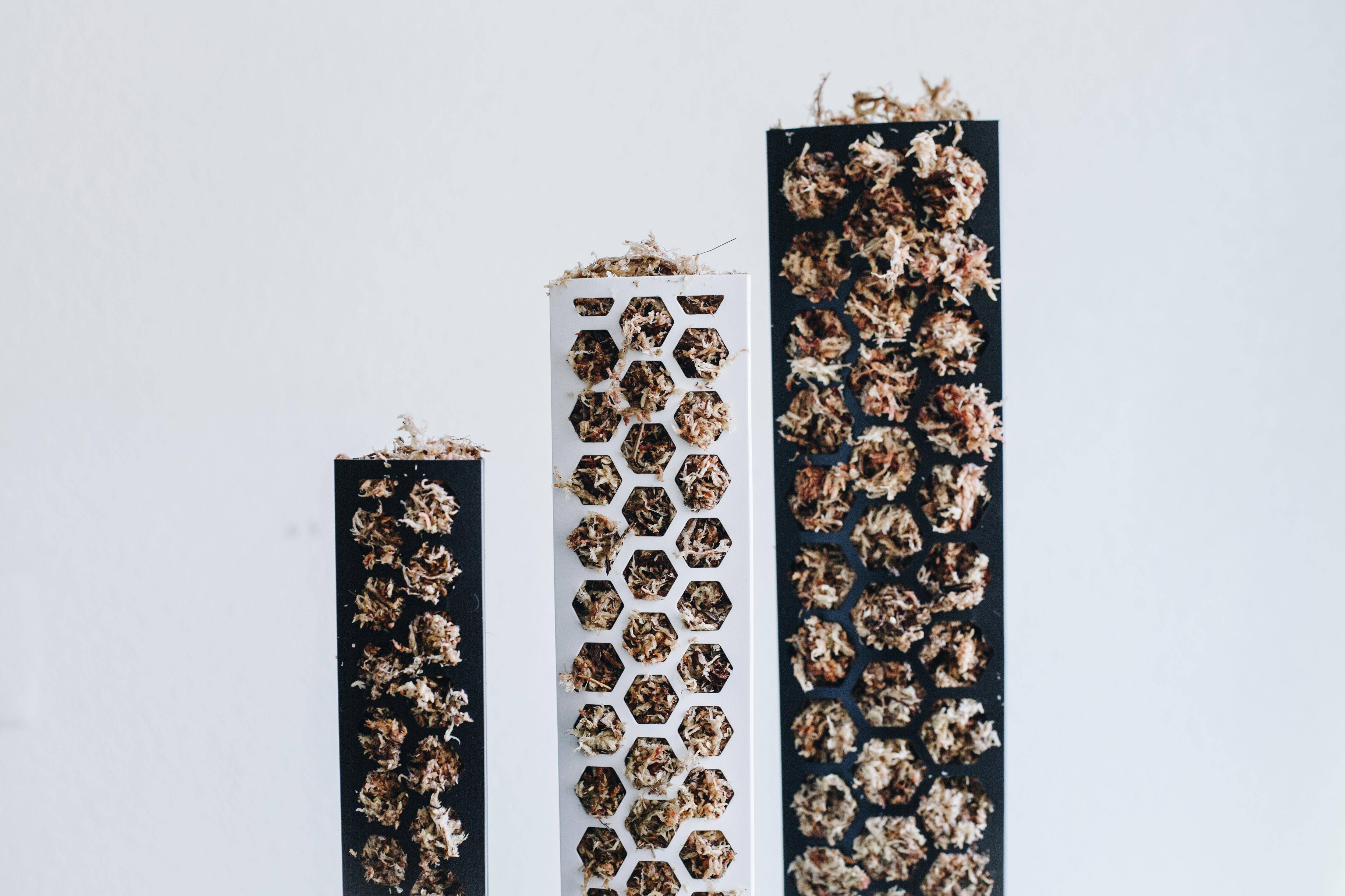 PlantScraper - Wholesale Trellis - Extendable D Shaped Moss Pole for Climbing Houseplants6