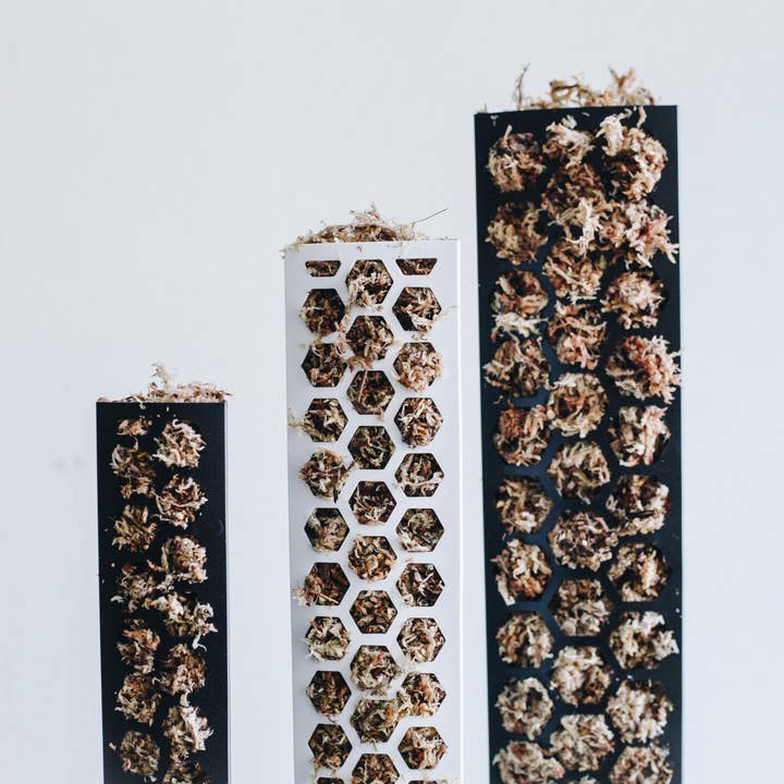 PlantScraper - Wholesale Trellis - Extendable D Shaped Moss Pole for Climbing Houseplants6