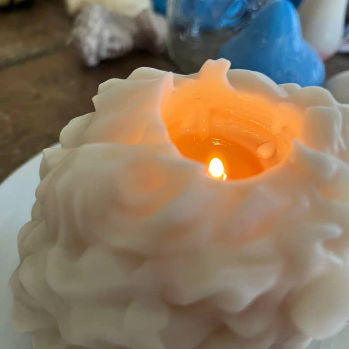 Zebra Industries, LLC - Wholesale Novelty Candle - The Mane Event- Lion Head Candle8