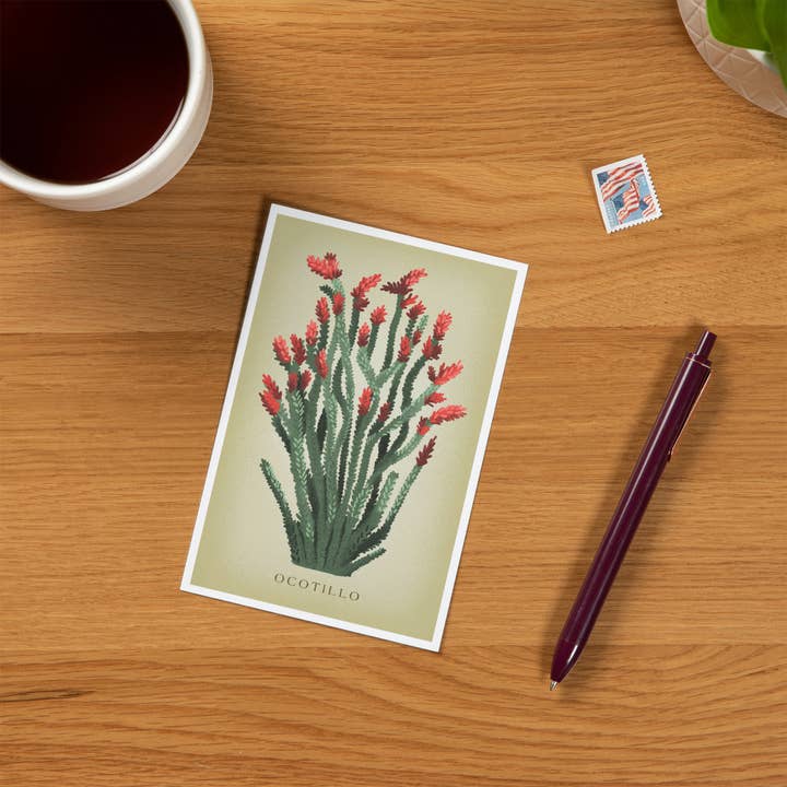Lantern Press - Wholesale Postcard - PREMIUM POSTCARDS Ocotillo, Vintage Flora1
