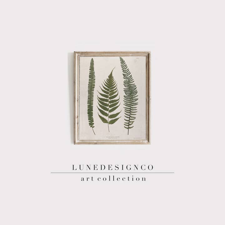 Three Ferns Print for wholesale by Lunedesignco