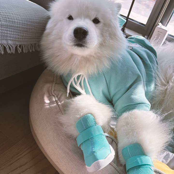 RIFRUF - Vente Bottines – chien - César 130