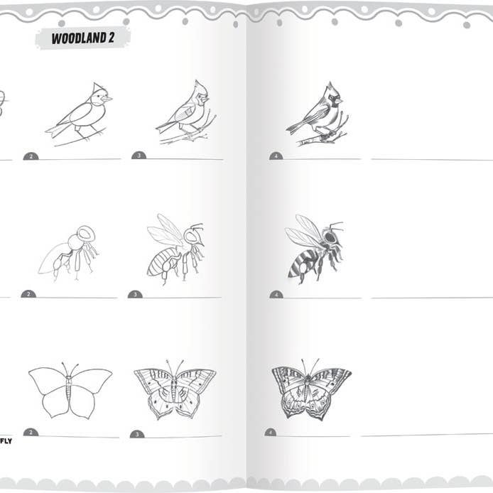 eeBoo - Wholesale Coloring & Activity Book - Kids & Baby - Learn to Draw Bugs, Birds & Butterflies with Stickers2