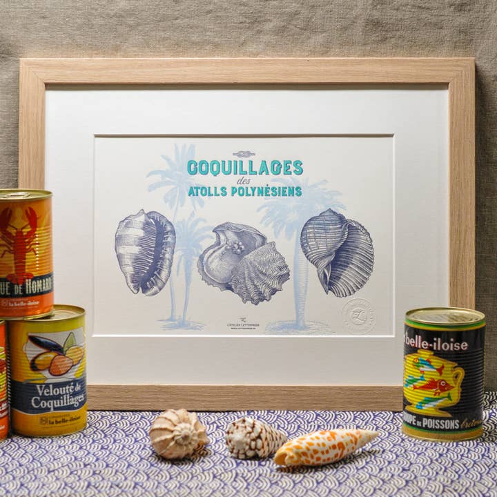 Letterpress Art Print Shells from Polynesian Atolls (sea) for wholesale by L'Atelier Letterpress