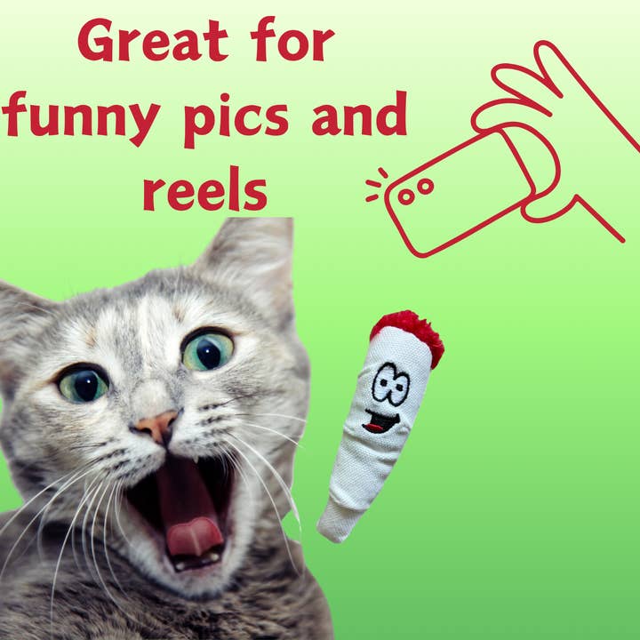 PAW:20 - Wholesale Pet Toy - Cat - My Name is Jay Jr. the Joint, Cute Stuffed Parody Cat Toy4