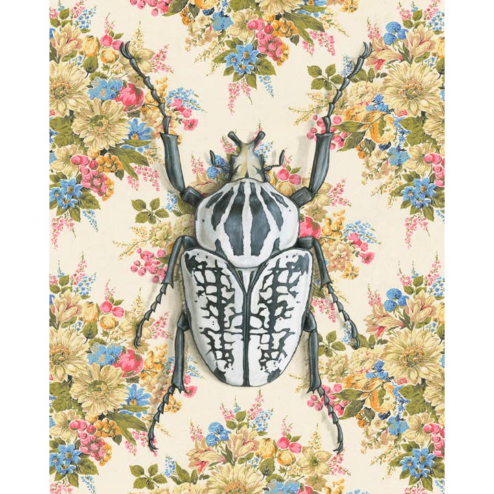 Emily Uchytil - Wholesale Art Print - Goliath Beetle - Fine Art Print - Insect Illustration - Gift