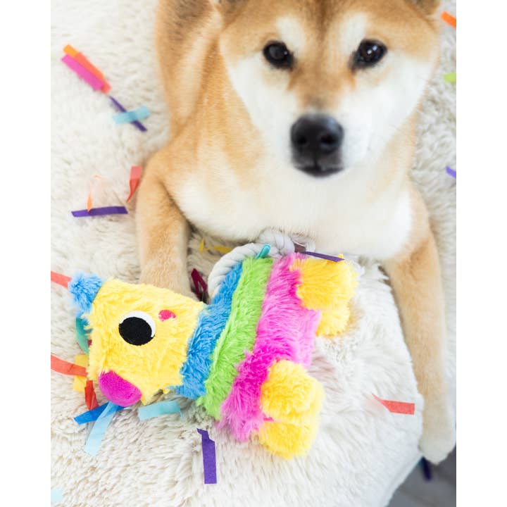 Pearhead - Wholesale Pet Plush Toy - Dog - Puppy Pinata Dog Toy3